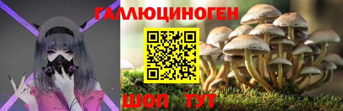 Псилоцибиновые грибы Cubensis Десногорск